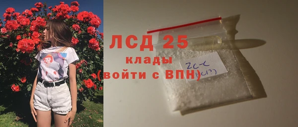 индика Зеленокумск